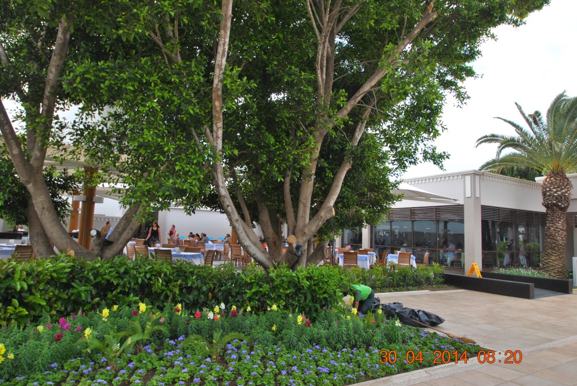 imagini hotel CLUB ASTERIA BELEK